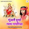 About Gunjale Durga Naam Nagariya Song